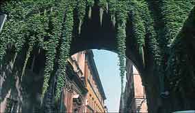 Rome guidebook -53
